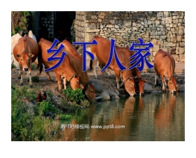 《乡下人家》PPT课件3