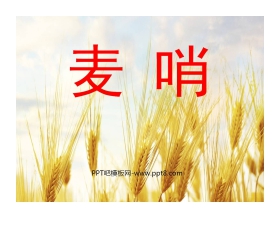 《麦哨》PPT课件3