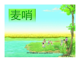 《麦哨》PPT课件5