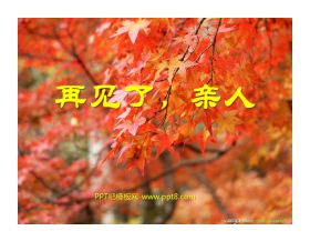 《再见了，亲人》PPT课件5