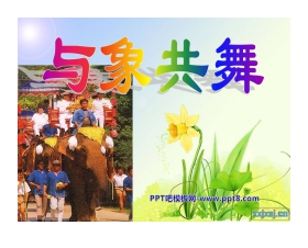 《与象共舞》PPT课件