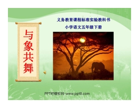 《与象共舞》PPT课件2