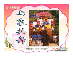 《与象共舞》PPT课件4