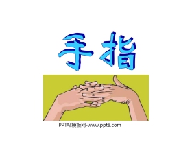 《手指》PPT课件