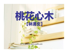 《桃花心木》PPT课件5