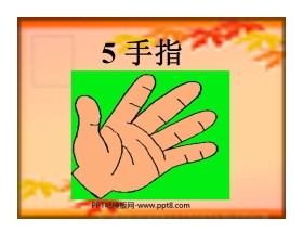 《手指》PPT课件2