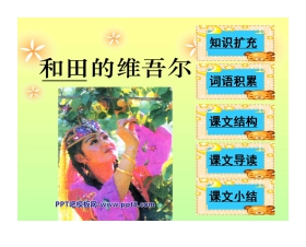 《和田的维吾尔》PPT课件3