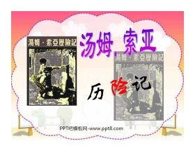 《汤姆·索亚历险记》PPT课件2