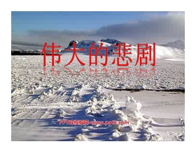 《伟大的悲剧》PPT课件5