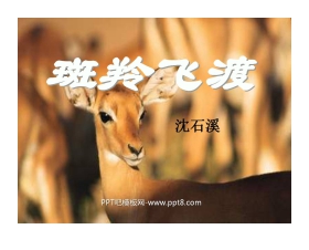 《斑羚飞渡》PPT课件3