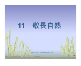《敬畏自然》PPT课件