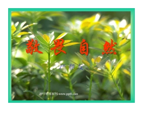 《敬畏自然》PPT课件2