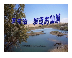 《罗布泊，消逝的仙湖》PPT课件3