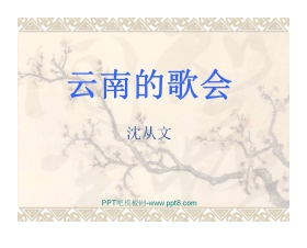 《云南的歌会》PPT课件2