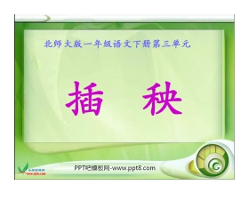 《插秧》PPT课件2