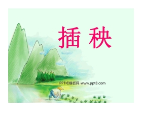 《插秧》PPT课件3