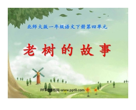 《老树的故事》PPT课件2