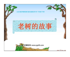 《老树的故事》PPT课件