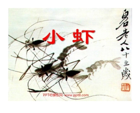 《小虾》PPT课件