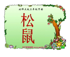 《松鼠》PPT课件