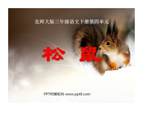 《松鼠》PPT课件2
