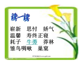 《爷爷的毡靴》PPT课件