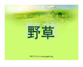 《野草》PPT课件2