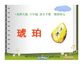 《琥珀》PPT课件