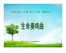 《生命奏鸣曲》PPT课件