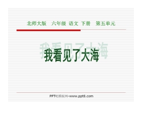 《我看见了大海》PPT课件