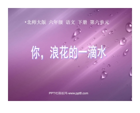 《你，浪花的一滴水》PPT课件