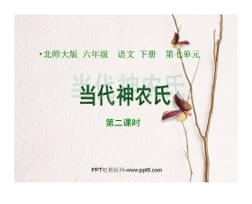 《当代神农氏》PPT课件2