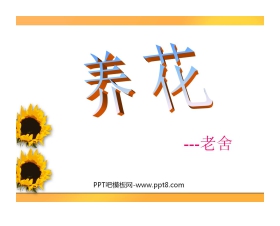 《养花》PPT课件2