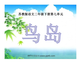 《鸟岛》PPT课件2