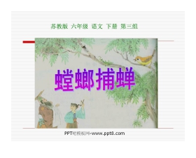 《螳螂捕蝉》PPT课件3