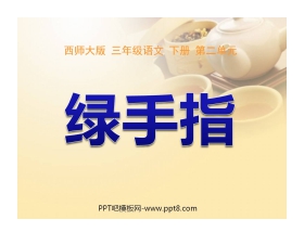 《绿手指》PPT课件