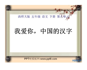 《我爱你，中国汉字》PPT课件