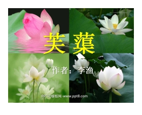 《芙蕖》PPT课件