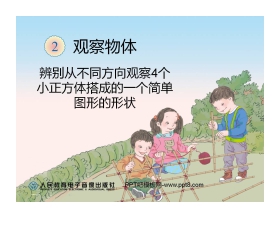 《观察物体》PPT课件6