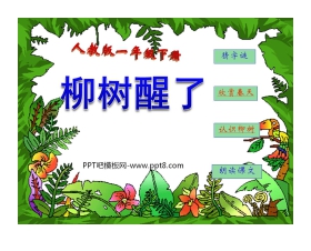 《柳树醒了》PPT课件7