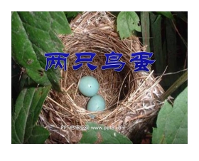 《两只鸟蛋》PPT课件5