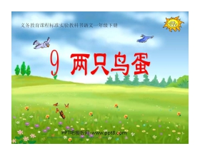 《两只鸟蛋》PPT课件6