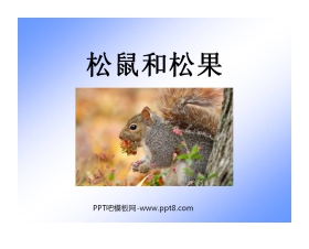 《松鼠和松果》PPT课件5
