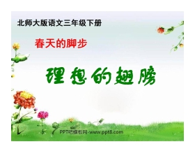 《理想的翅膀》PPT课件4