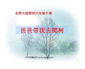 《爸爸带我去爬树》PPT课件3