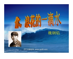《你，浪花的一滴水》PPT课件2