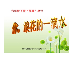 《你，浪花的一滴水》PPT课件4