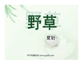 《野草》PPT课件5