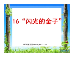 《闪光的金子》PPT课件5