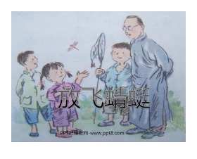 《放飞蜻蜓》PPT课件3